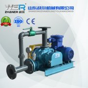 WSR-80沼氣增壓羅茨鼓風(fēng)機