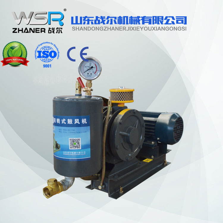 實驗室污水用回轉(zhuǎn)風機